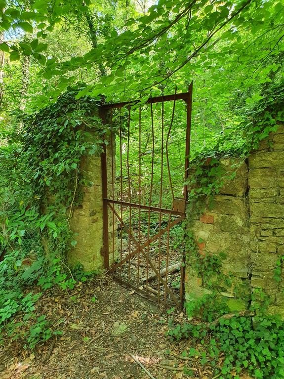 Ein altes Tor mitten im Wald bzw. mitten im Grünen