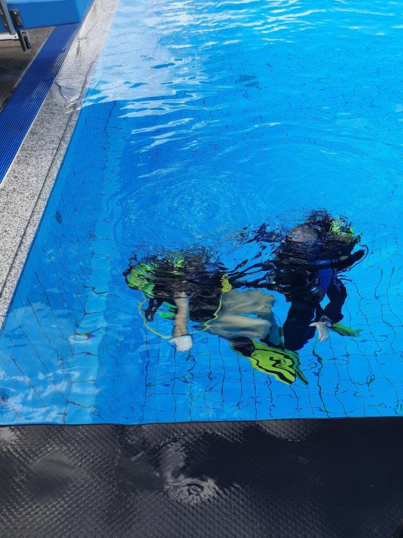 Zwei Taucher im Wasser