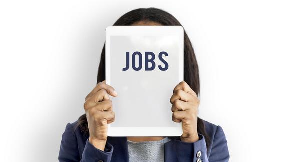 Employment Opportunity Hiring Jobs Icon