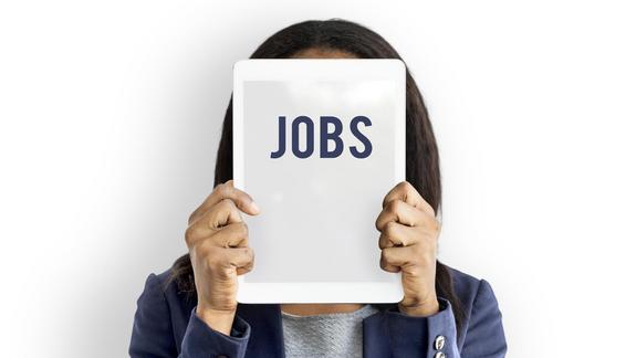 Employment Opportunity Hiring Jobs Icon