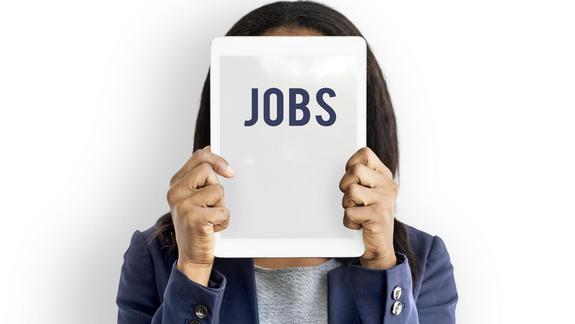 Employment Opportunity Hiring Jobs Icon