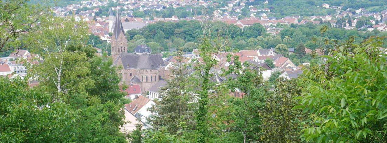 Bild der Gemeinde Kleinblittersdorf zwischen Bäume und Hecken und mit Blick auf die französische Gemeinde Grosbliederstroff