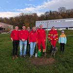 DLRG-Mitglieder mit Baum