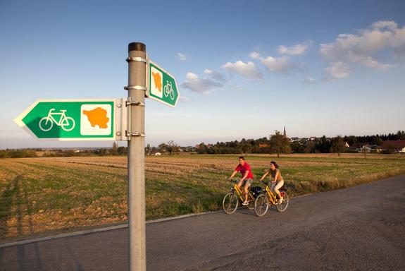 Zwei Fahrradfahrer auf dem Radweg. Im Vordergrund ist ein Wegebeschilderung, welches nach links und rechts zeigt, zu sehen